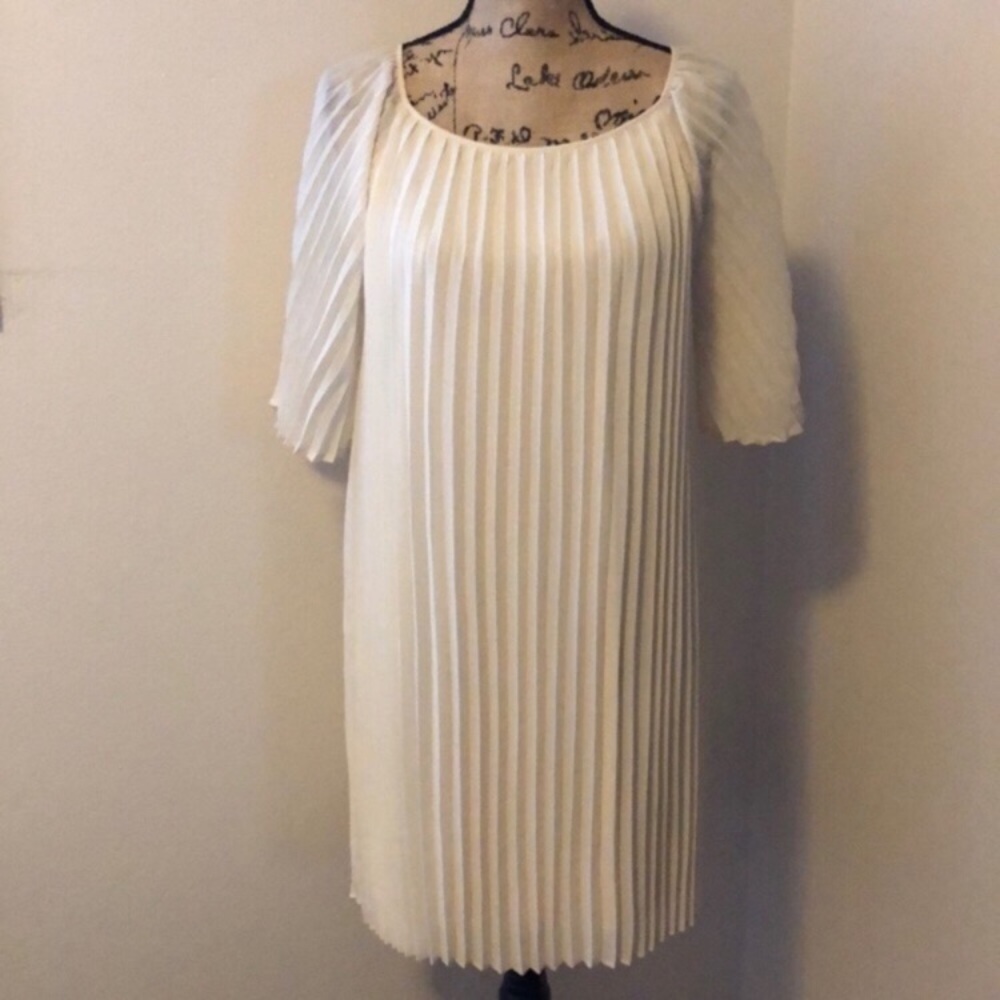 Sharon Pleated Tunic Dress